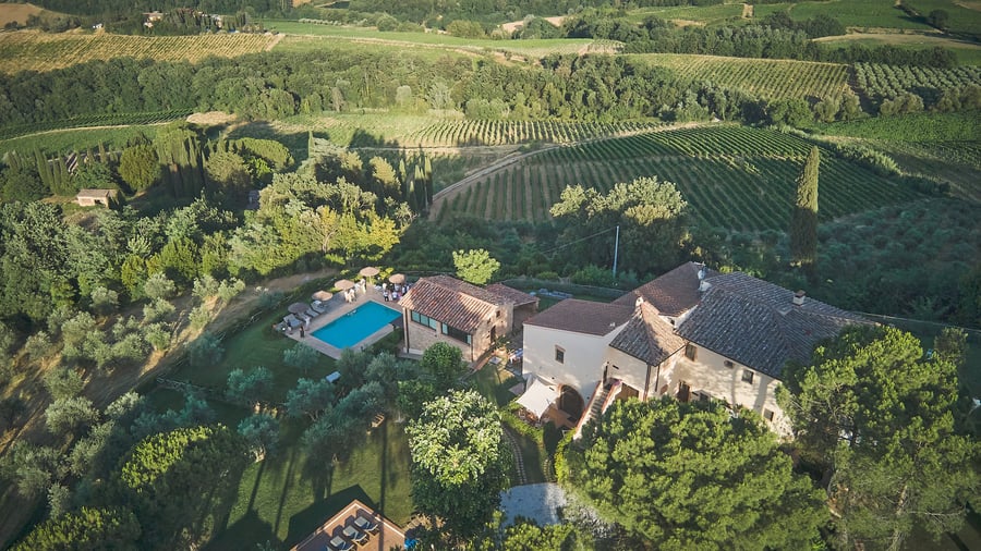 Pancolina — photo 25