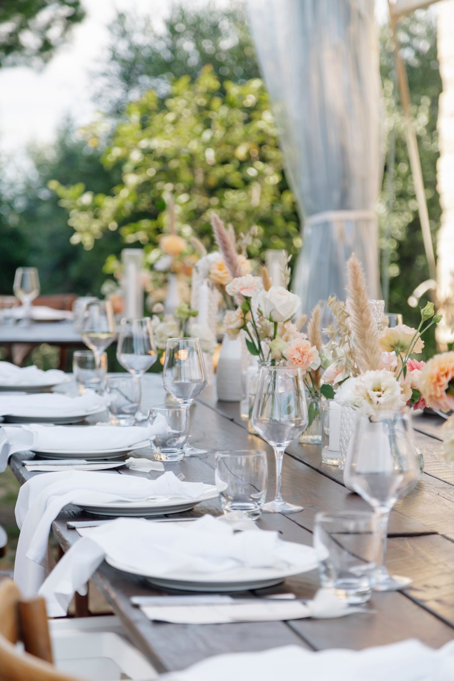 Pancolina — photo 28