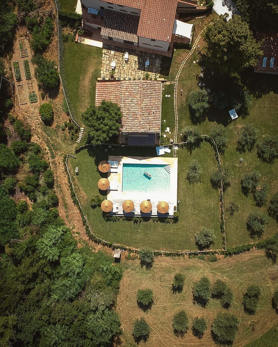 Pancolina — photo 31