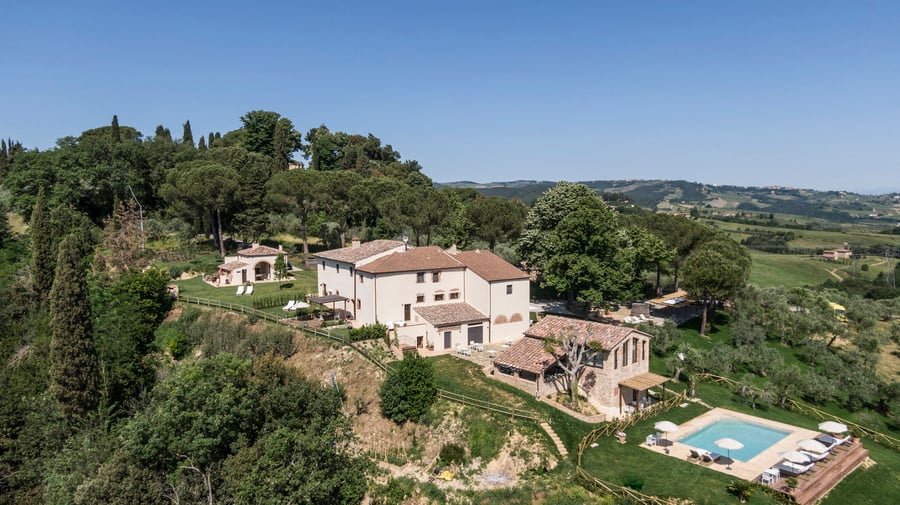 Pancolina — photo 42