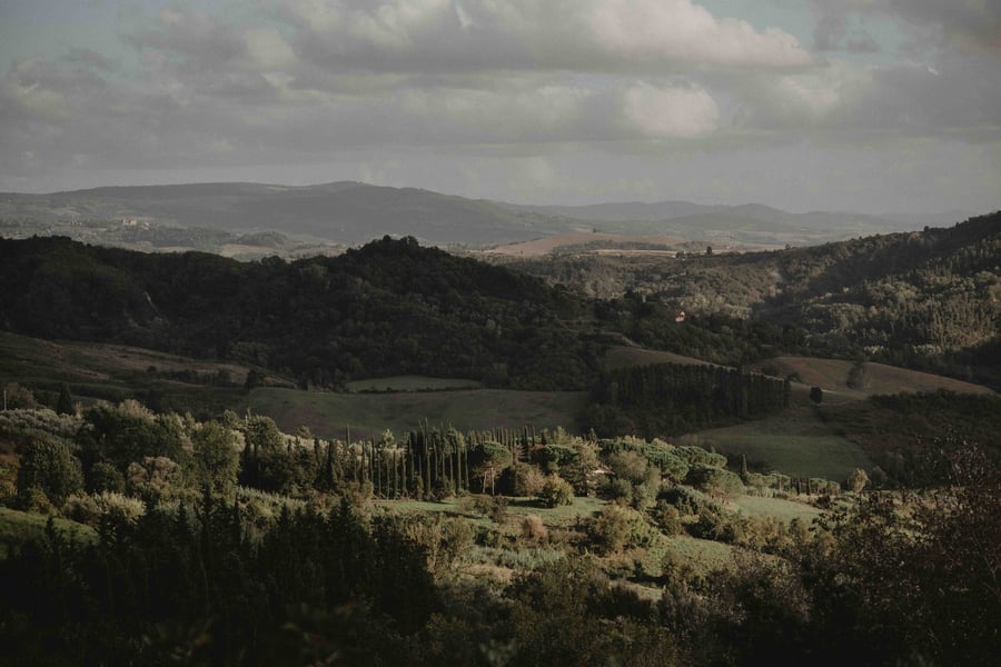 Podere San Giorgio — photo 10