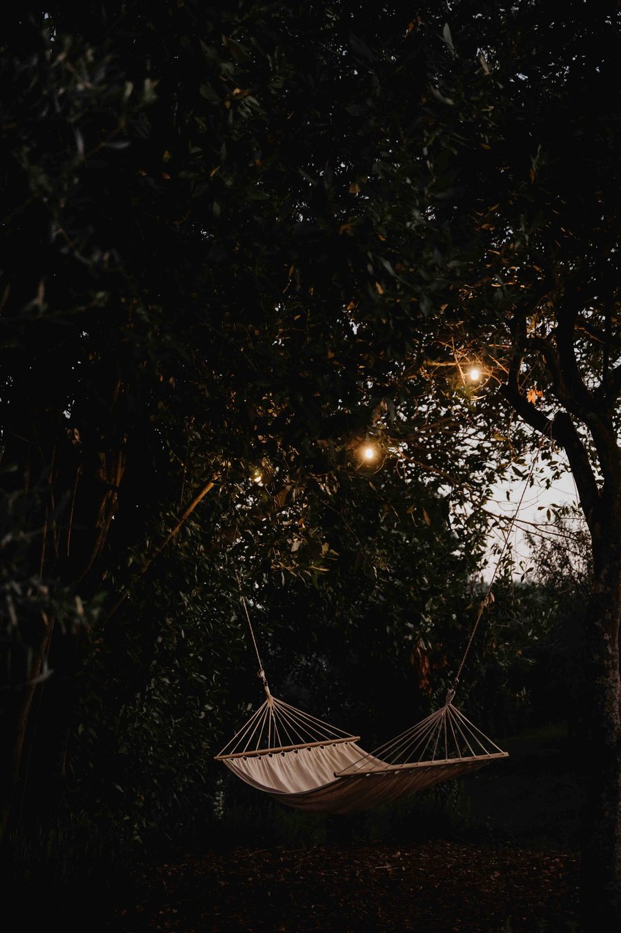 Podere San Giorgio — photo 13