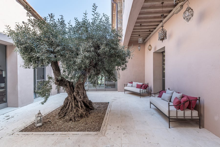 Podere Tesoro — photo 30