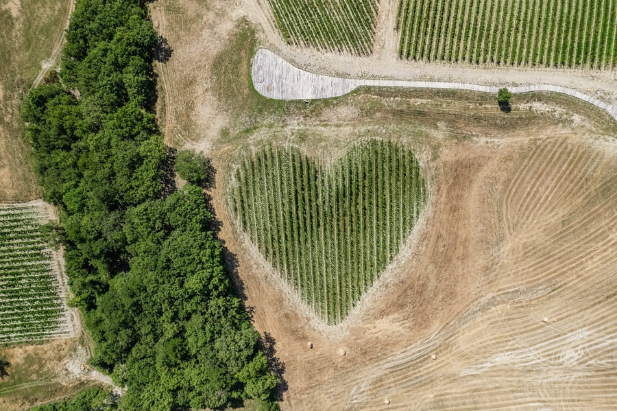 Podere Tesoro — photo 42