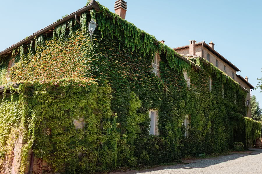 San Lorenzo a Linari — photo 4