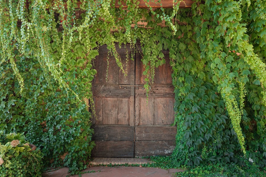 San Lorenzo a Linari — photo 26