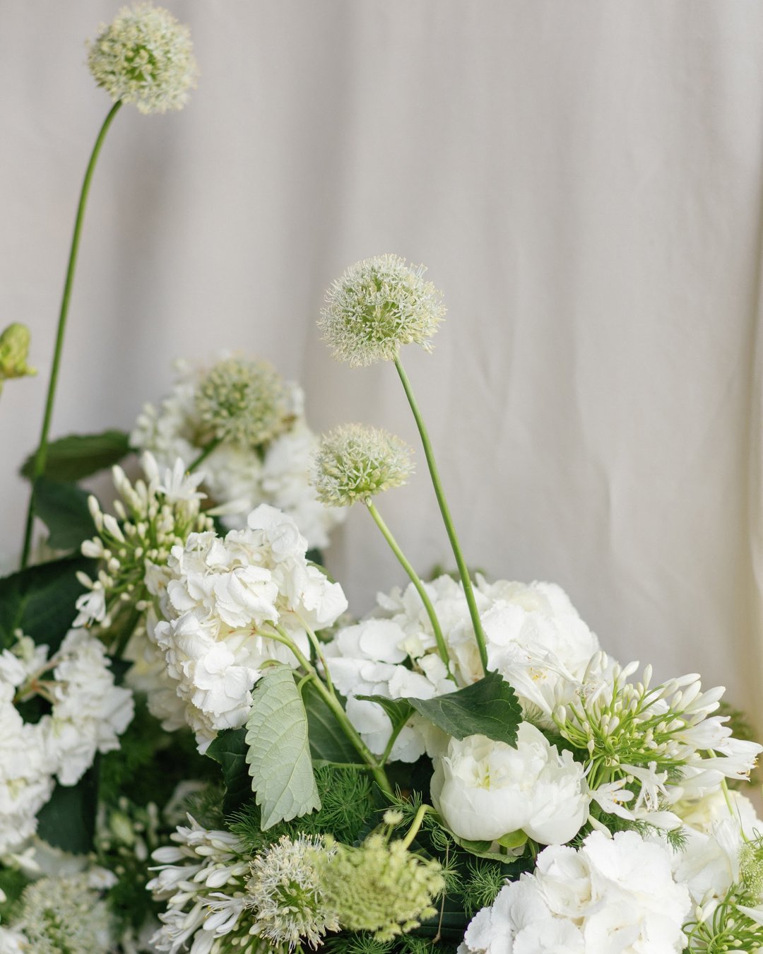 Il FiorFiore portfolio