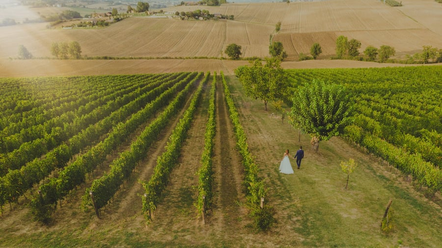 Tenuta dei Mori — photo 2