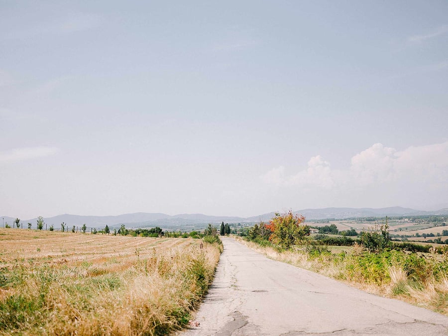 Tenuta dei Mori — photo 4