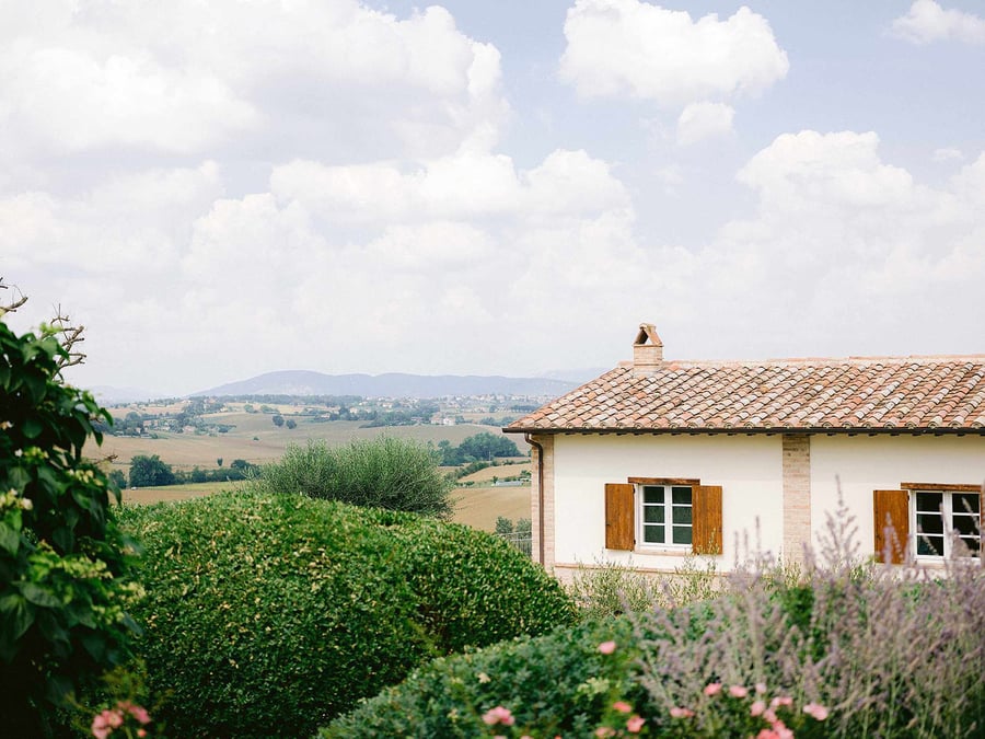 Tenuta dei Mori — photo 6