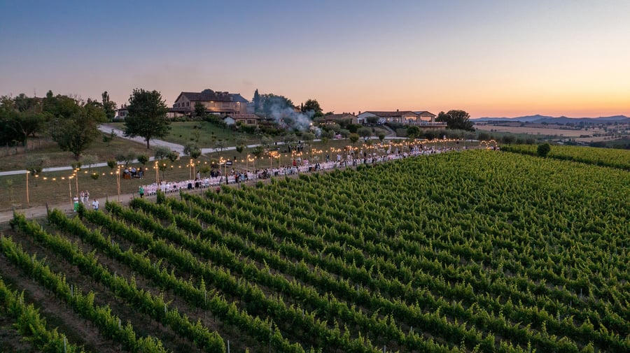 Tenuta dei Mori — photo 13