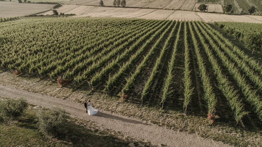 Tenuta dei Mori — photo 18