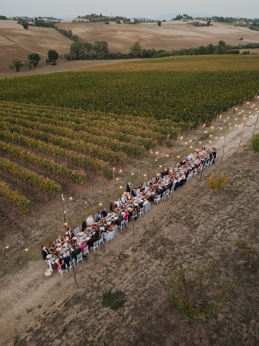 Tenuta dei Mori — photo 23