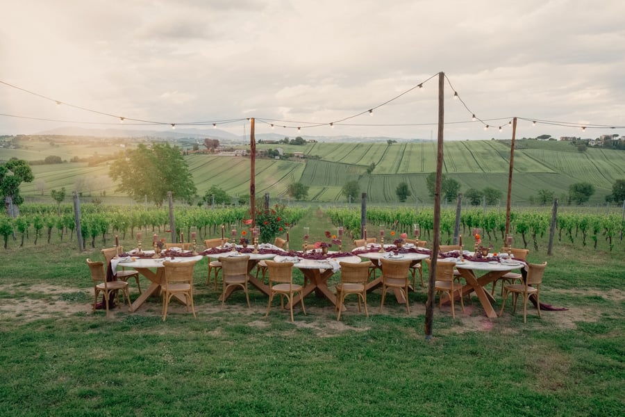 Tenuta dei Mori — photo 25