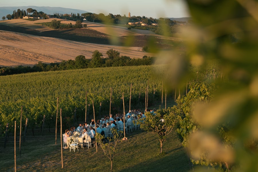 Tenuta dei Mori — photo 30