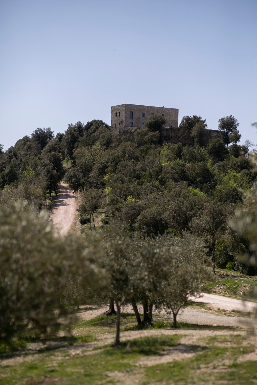 Tenuta di Forte Sorgnano — photo 2