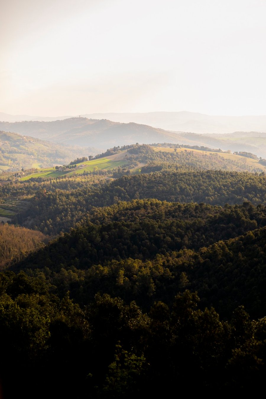 Tenuta di Forte Sorgnano — photo 3