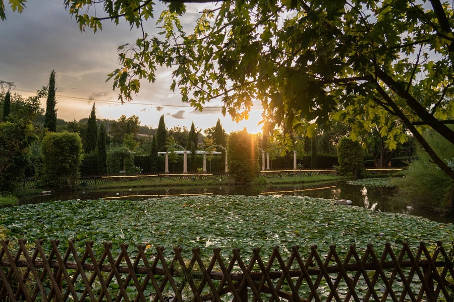 Tenuta i Massini — photo 34