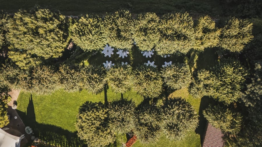 Tenuta La Madonnina di Barni — photo 22