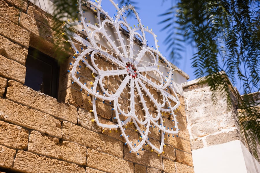 Tenuta Monacelli — photo 11