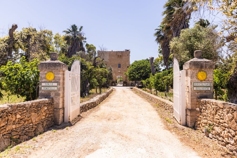 Tenuta Monacelli — photo 16