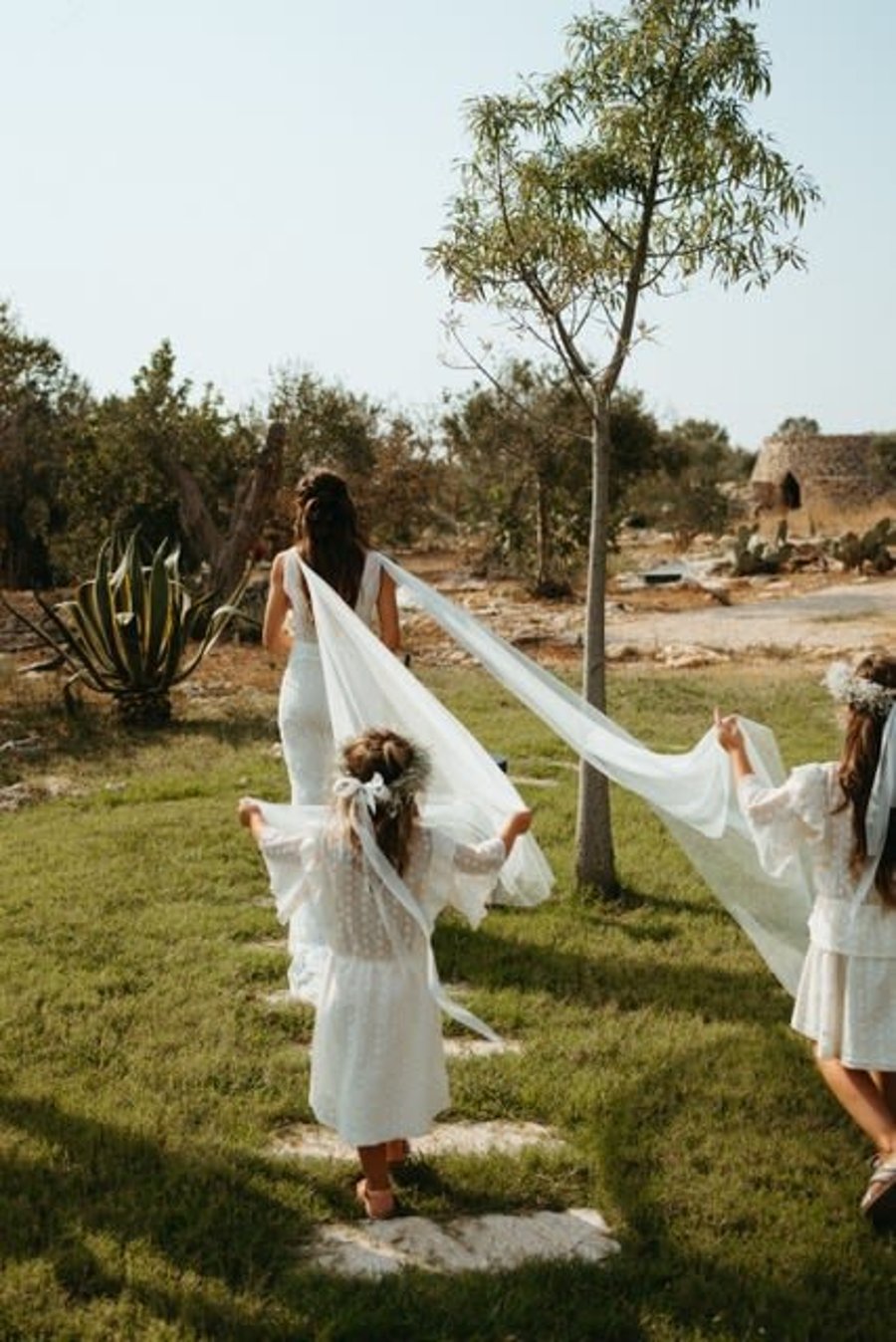 Tenuta Negroamaro — photo 2