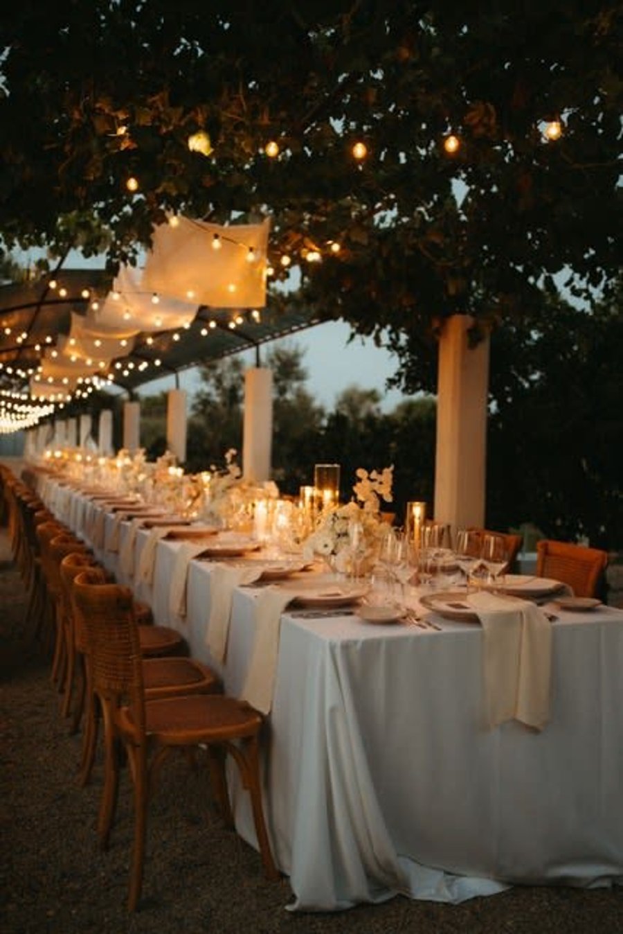 Tenuta Negroamaro — photo 3