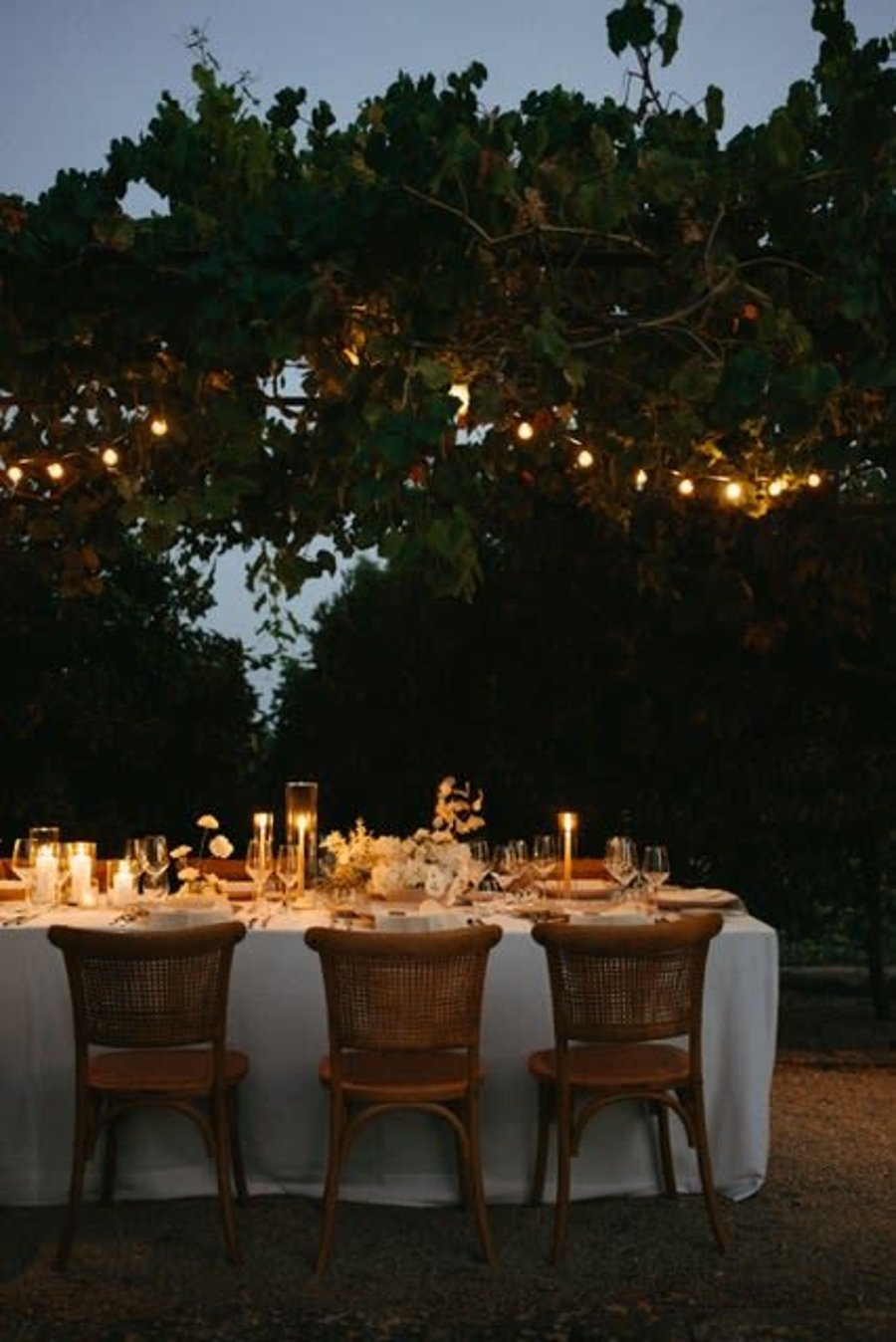 Tenuta Negroamaro — photo 10