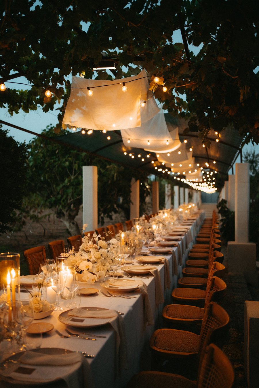 Tenuta Negroamaro — photo 28