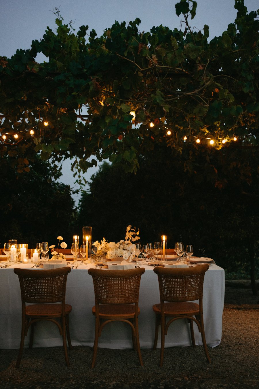 Tenuta Negroamaro — photo 29