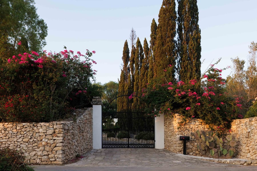 Tenuta Negroamaro — photo 36