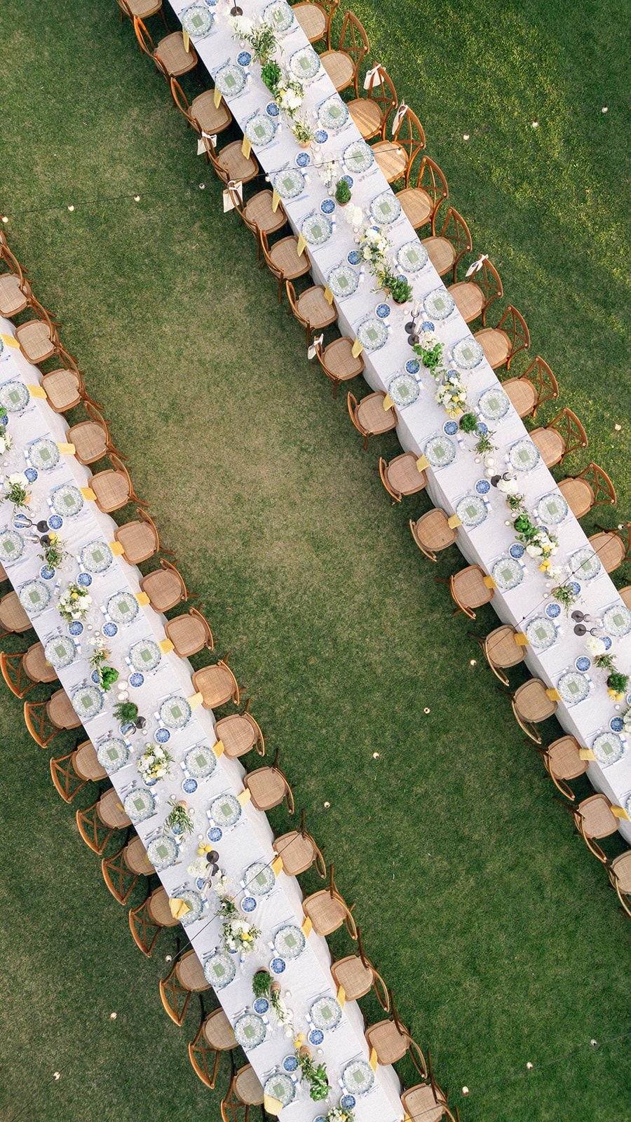 Tenuta Riseccoli — photo 9