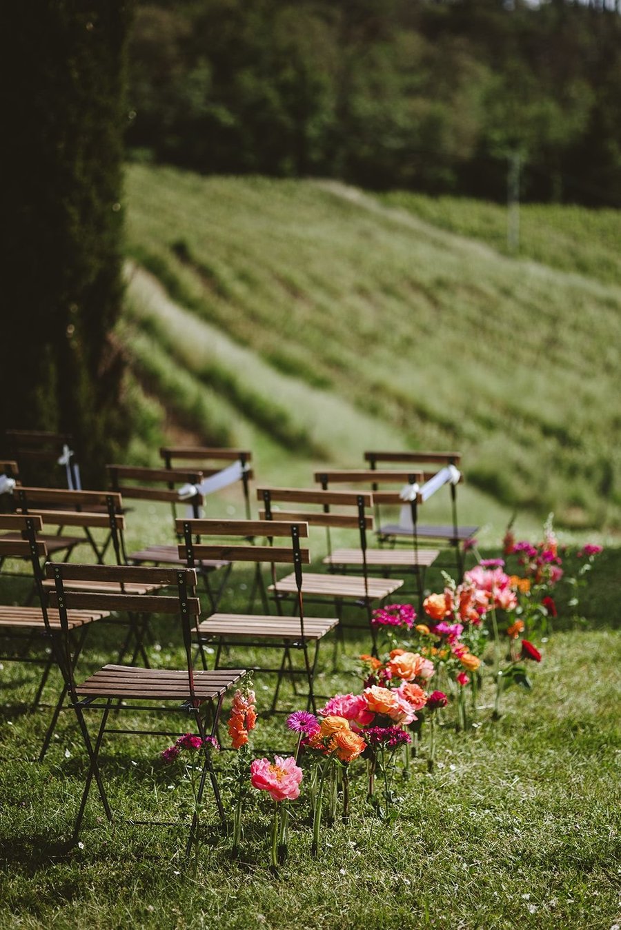 Tenuta Riseccoli — photo 12