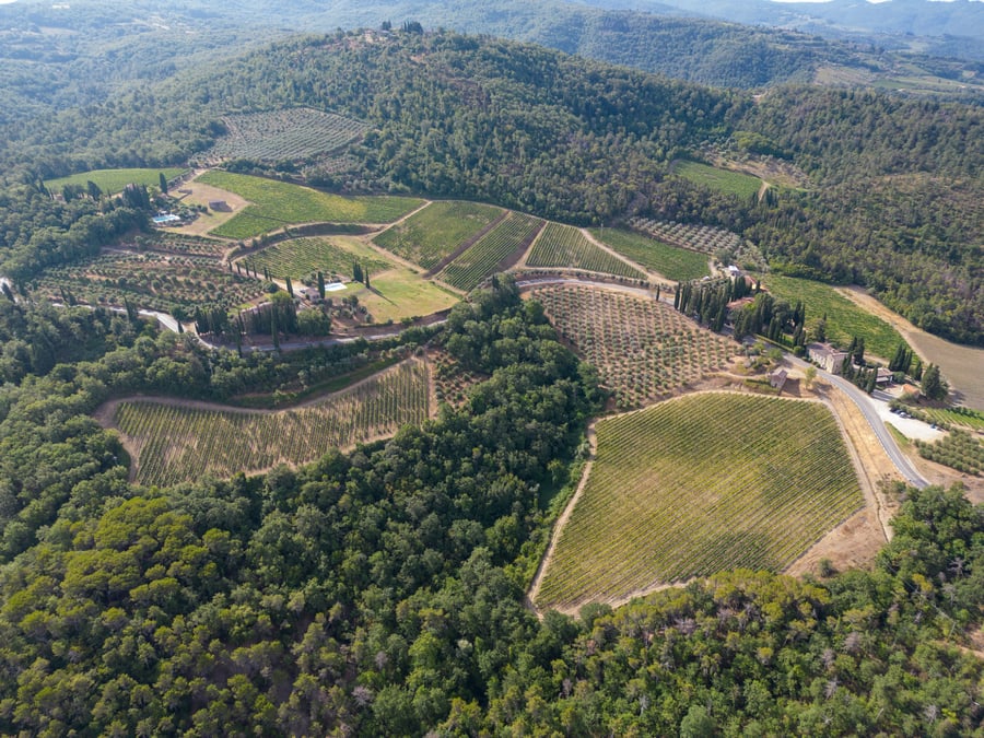 Tenuta Riseccoli — photo 16