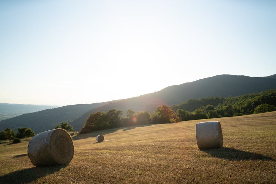 Tenuta San Lorenzo Vecchio — photo 23
