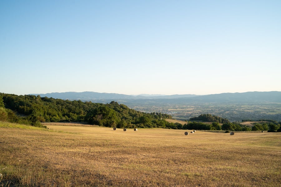 Tenuta San Lorenzo Vecchio — photo 24