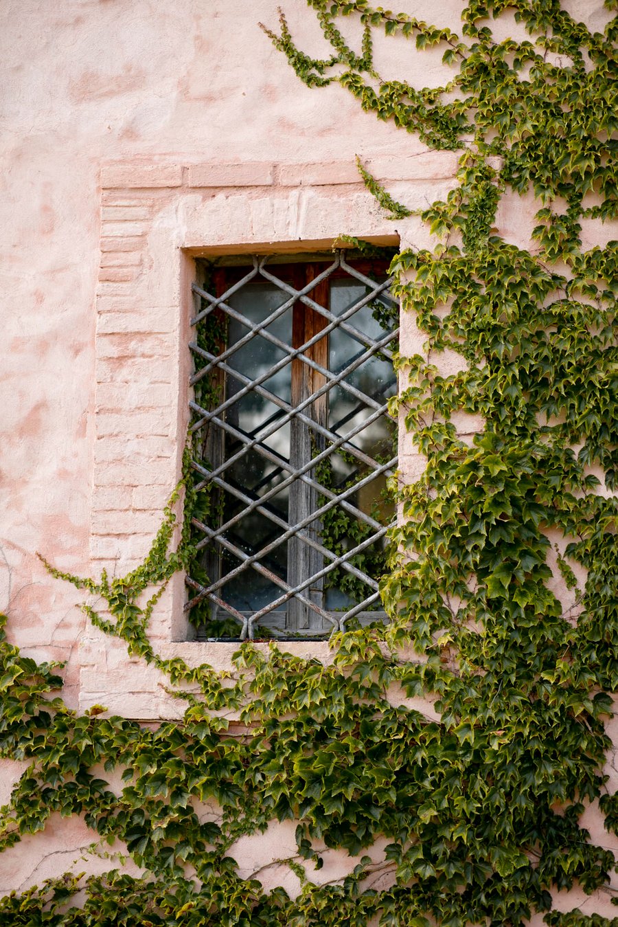 Tenuta San Lorenzo Vecchio — photo 32