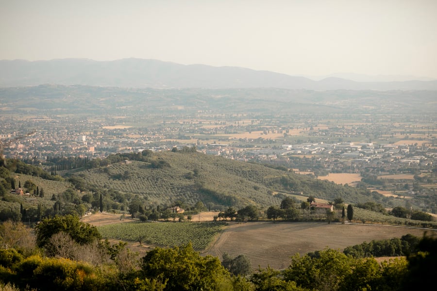 Tenuta San Lorenzo Vecchio — photo 34