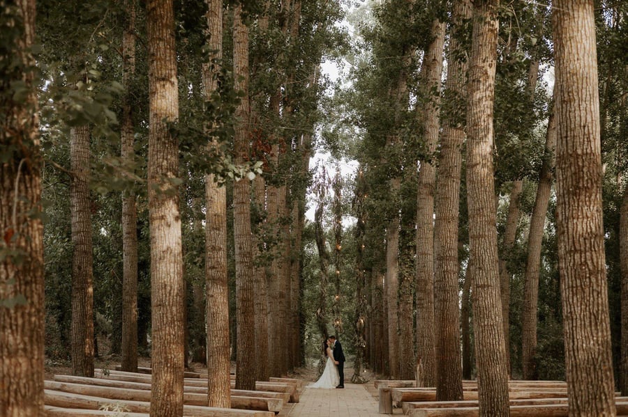 Tenuta Savoca — photo 10