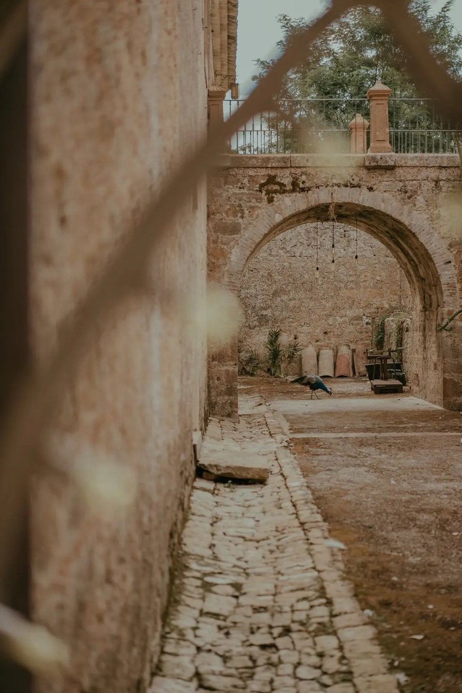 Tenuta Savoca — photo 17