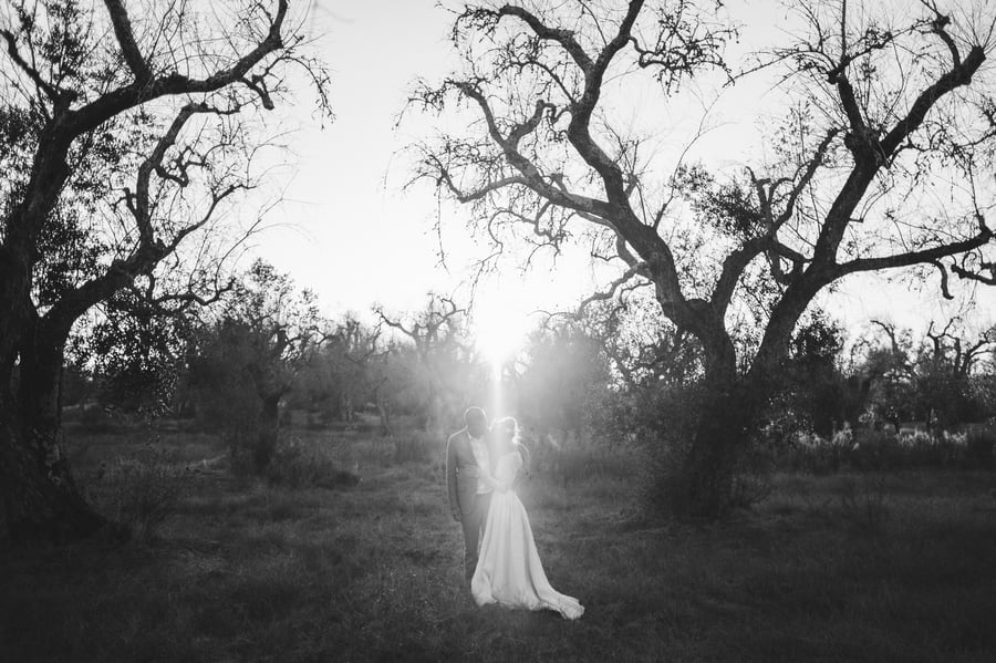 Tenuta Tresca — photo 10