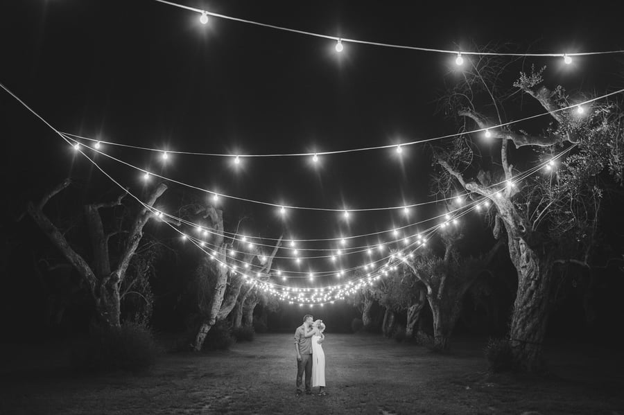 Tenuta Tresca — photo 16