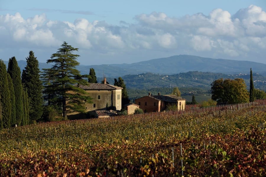 Tenute del Cerro — photo 37