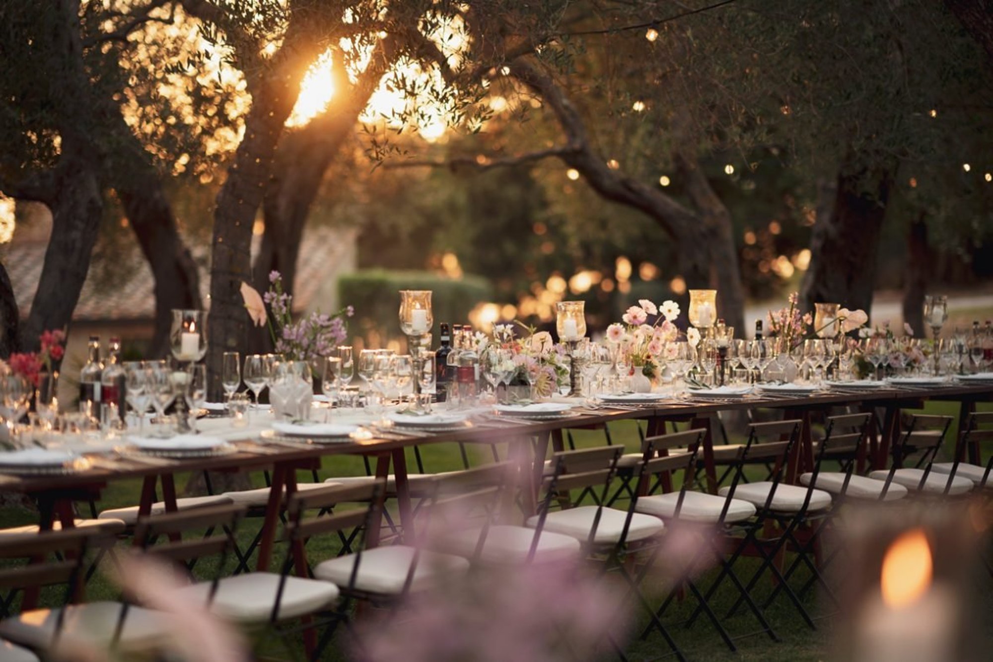 Terre di Nano, Pienza: a long table laid for dinner under the olive trees, with candles and the evening sun through the branches