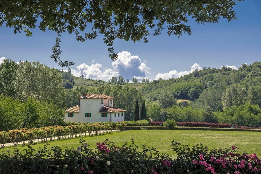 Viesca Toscana Estate — photo 5