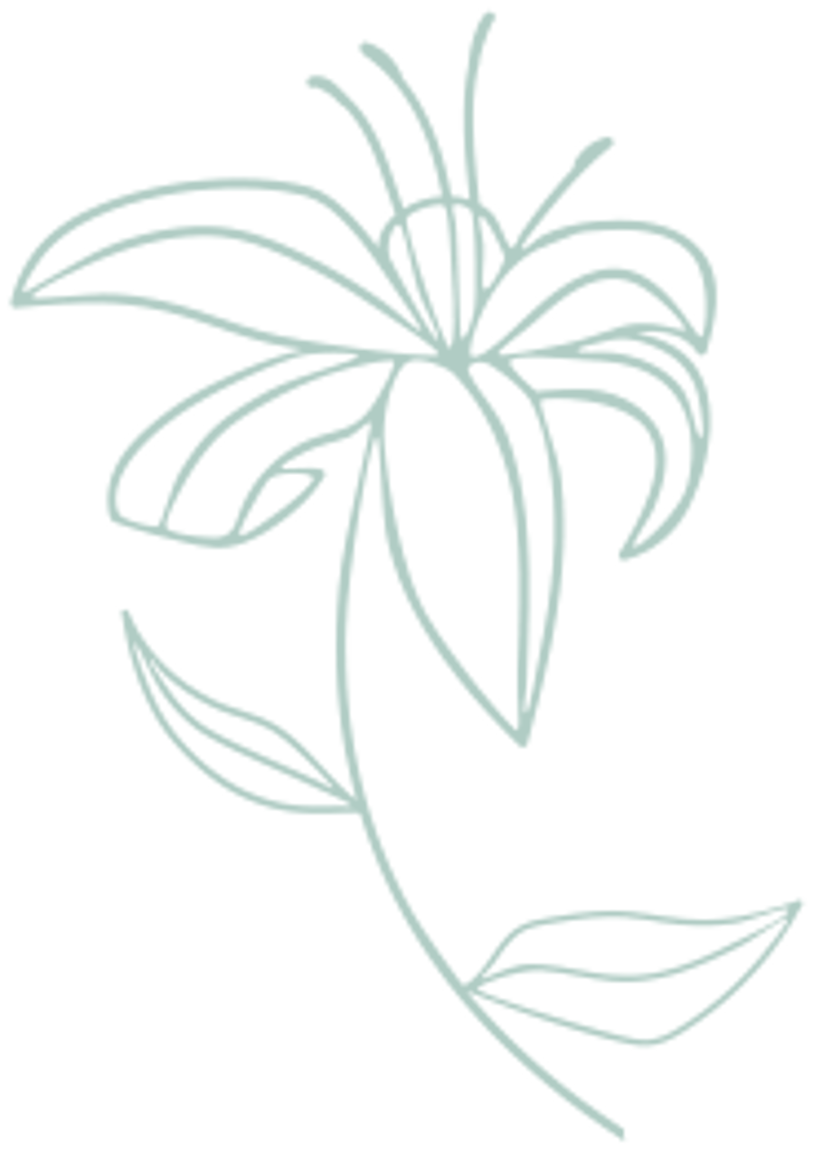 Villa Carlotta — photo 3