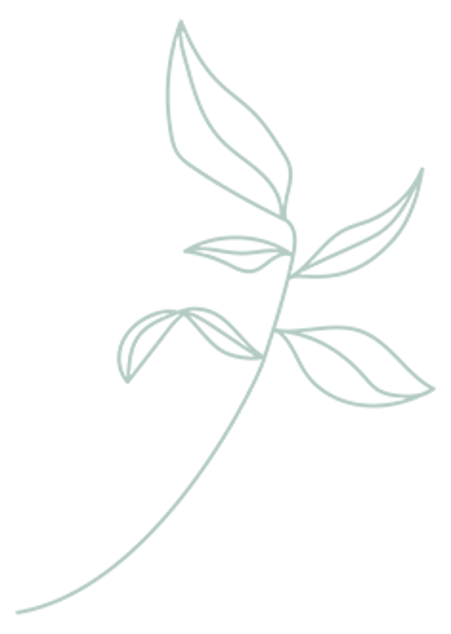 Villa Carlotta — photo 5