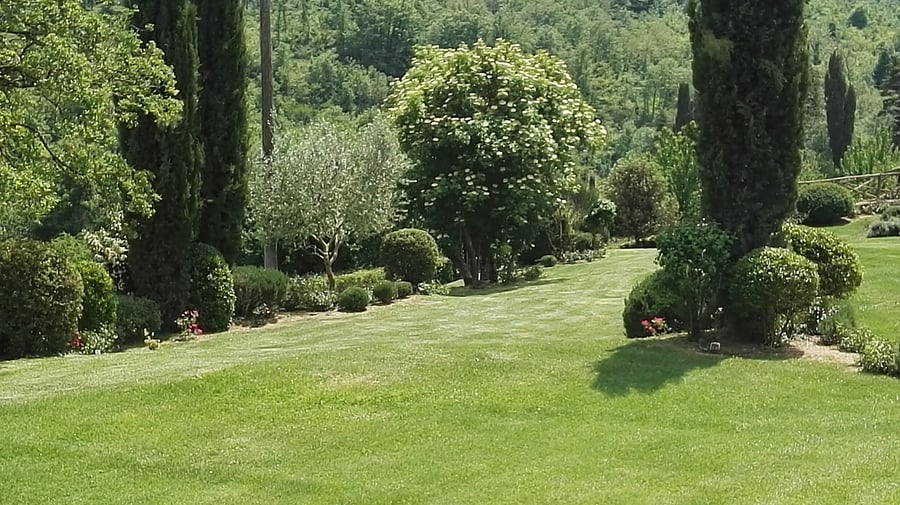 Villa Il Noceto — photo 48