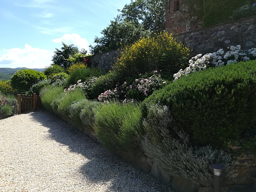 Villa Il Noceto — photo 66