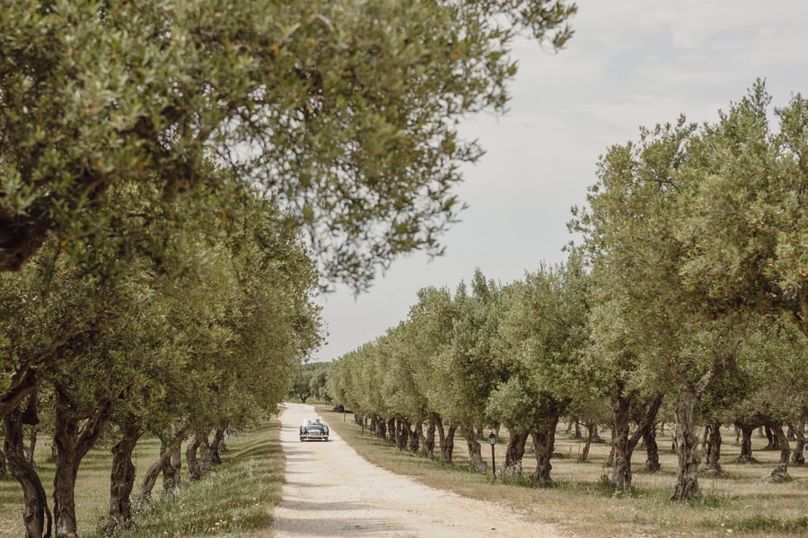 Villa Immacolatella — photo 4